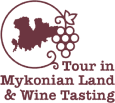 Tour in Mykonian Land & Wine Tasting logo