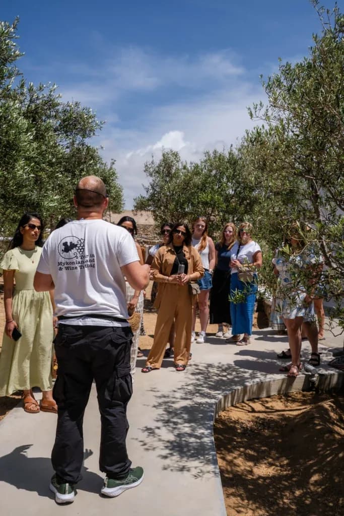 Guided group walking through the olive grove in Mykonos