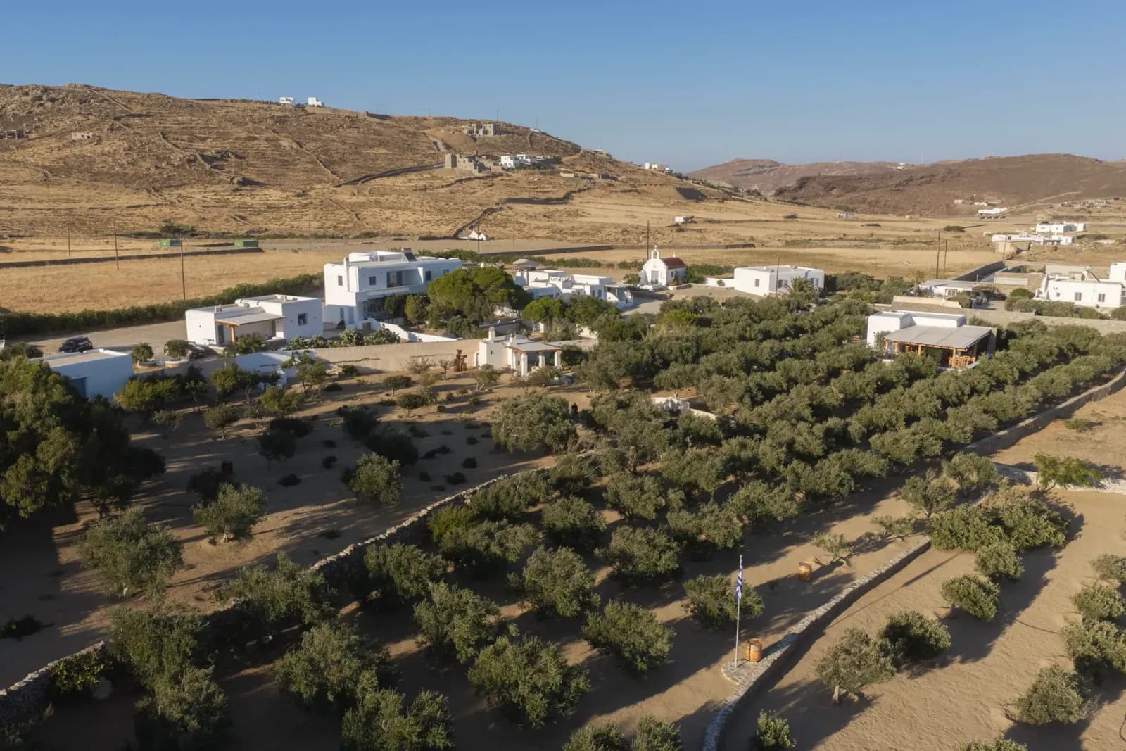 The olive grove of the estate from above in Marathi, Mykonos