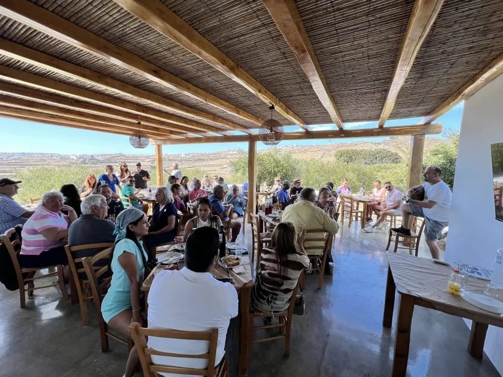 Live traditional music performance in Mykonian Land