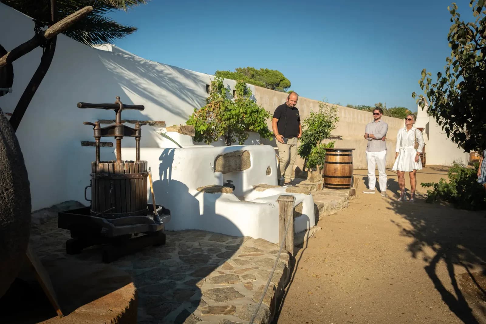 Gerasimos showing the old wine press to guests
